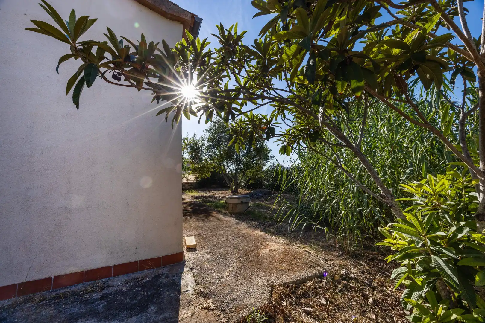 Casa rústica en venta en Centro, imagen 25
