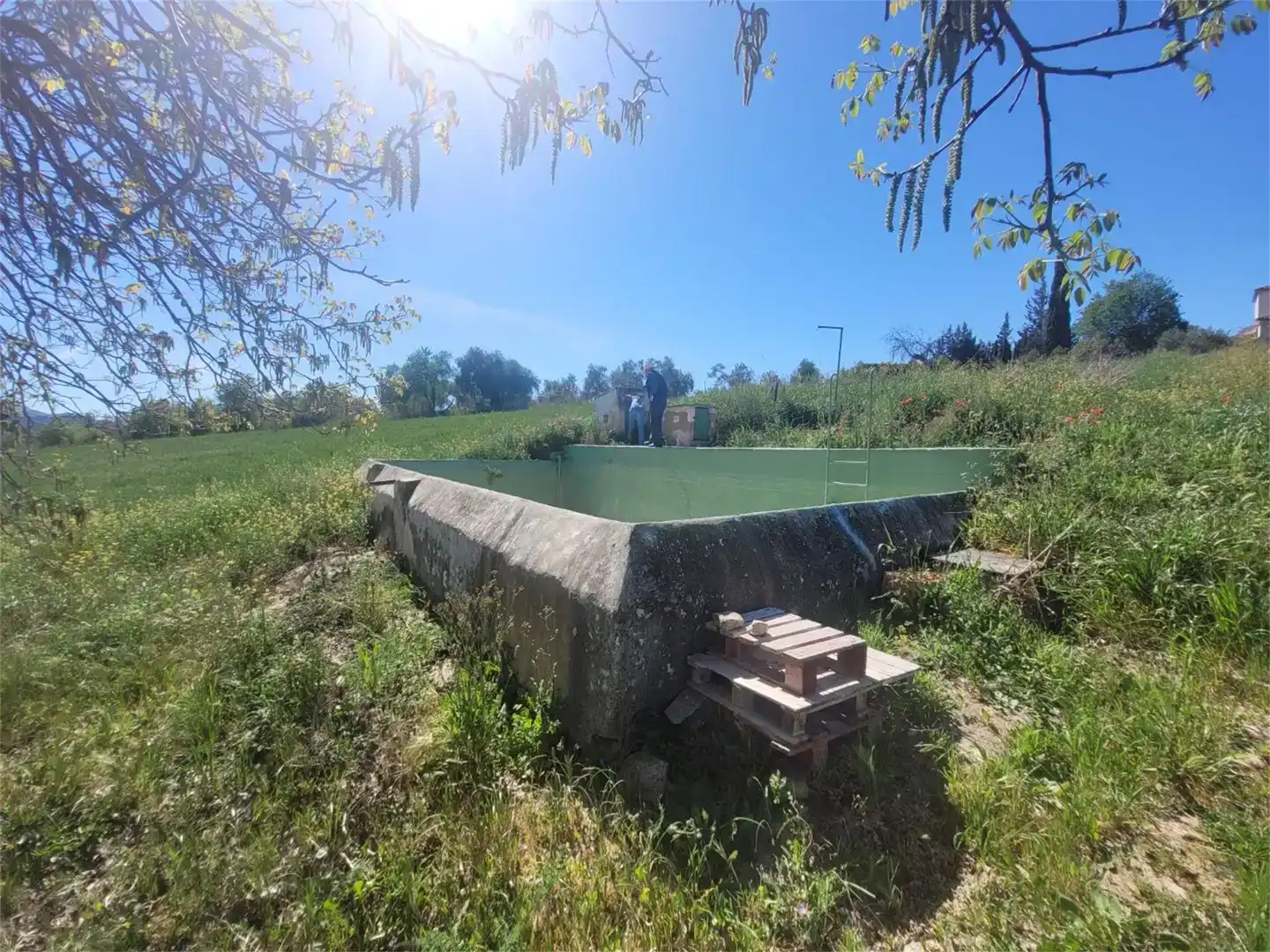 Piscina de Finca rústica en venda en Ronda amb Piscina