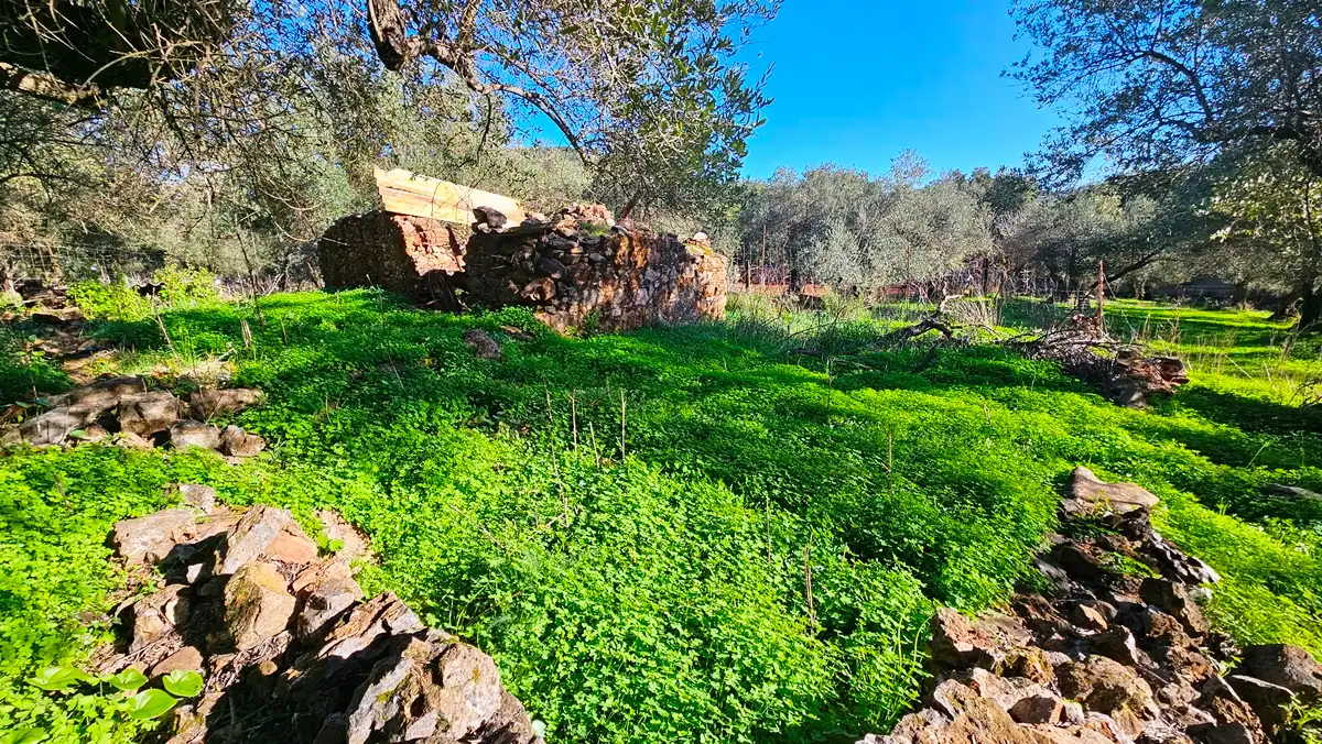 Terreno en venta en Higuera de la Sierra