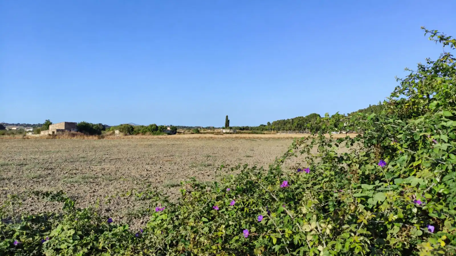 Wohnbaugrundstück zum Verkauf in Santa Margalida Poble, imagen 3