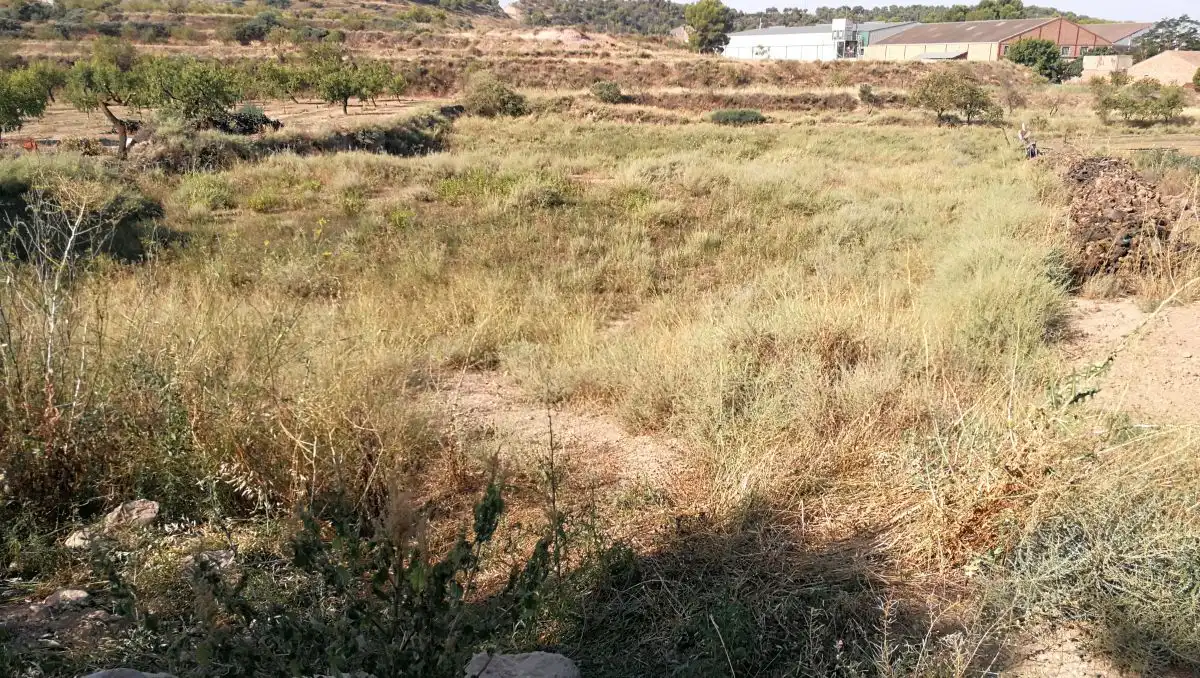 Terreno rústico en venta en Castelldans