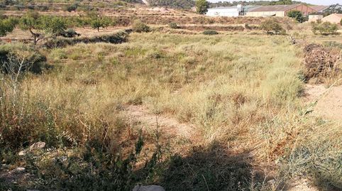 Finca Rúst. en venta en Castelldans.