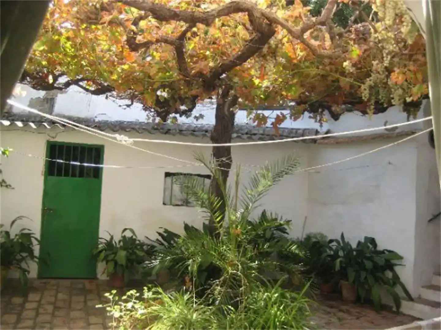 Jardí de Finca rústica en venda en Guadalcázar