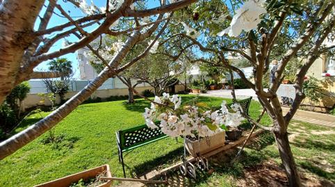 Photo 2 of Planta baja for sale in Cunidor, Cunit