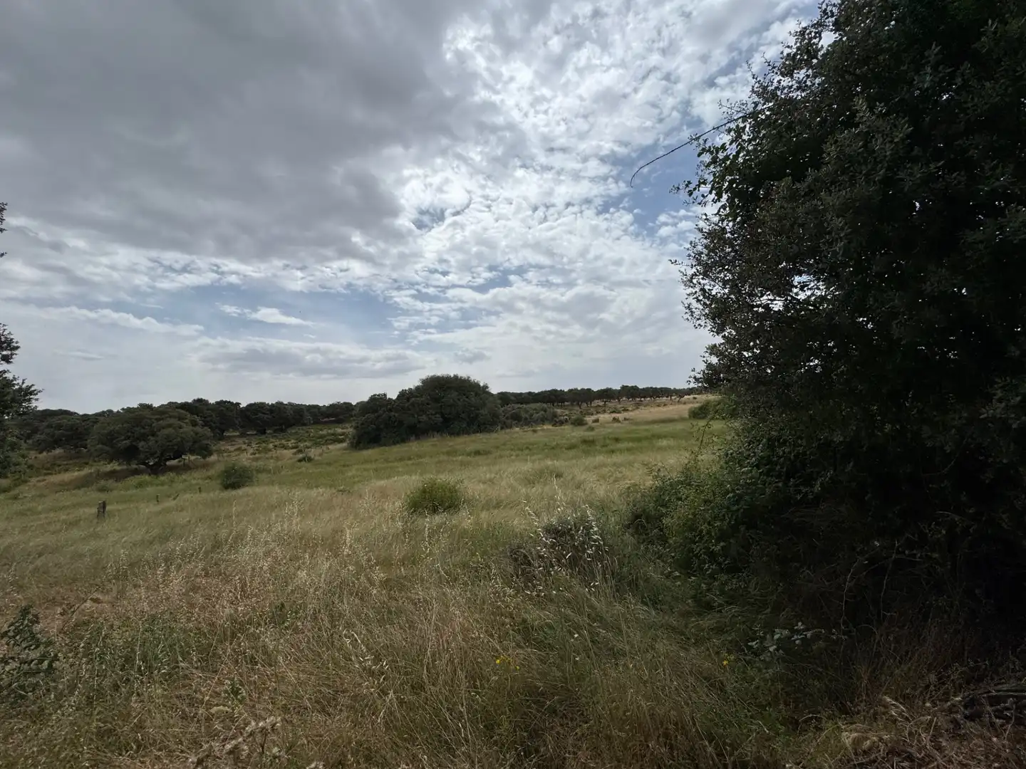 Terreno en venta en Añover de Tormes