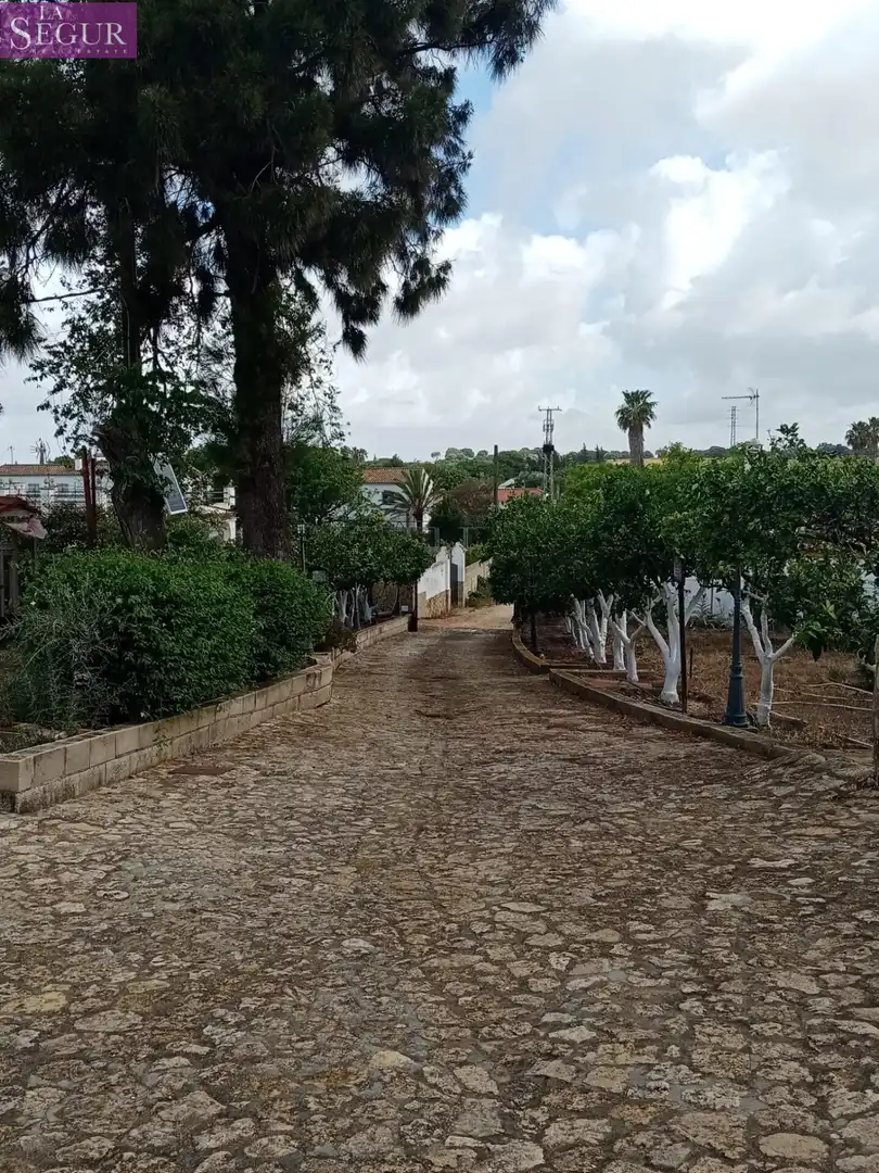 Maison rustique à vendre à Vejer, imagen 5