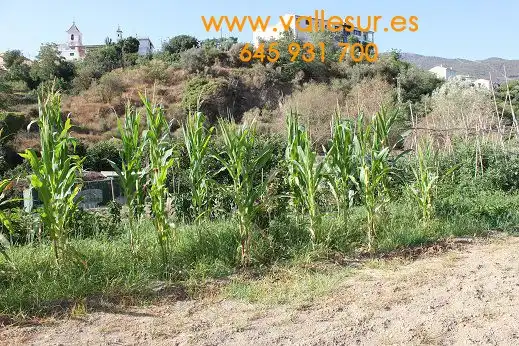 Terreni e lotti in vendita a carretera N. 3204, imagen 13