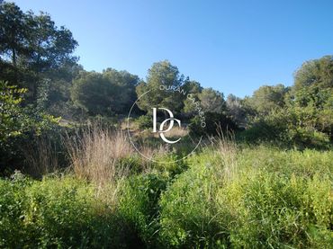 Terrenos y solares en venta en Carrer de Josep Irla