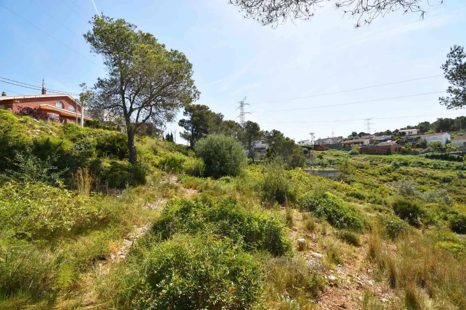 Terreno residencial en venta en Canyelles, imagen 5