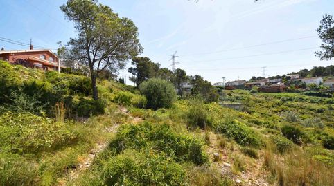 TERRENO BIEN ORIENTADO EN LES PALMERES, CANYELLES, immagine 5
