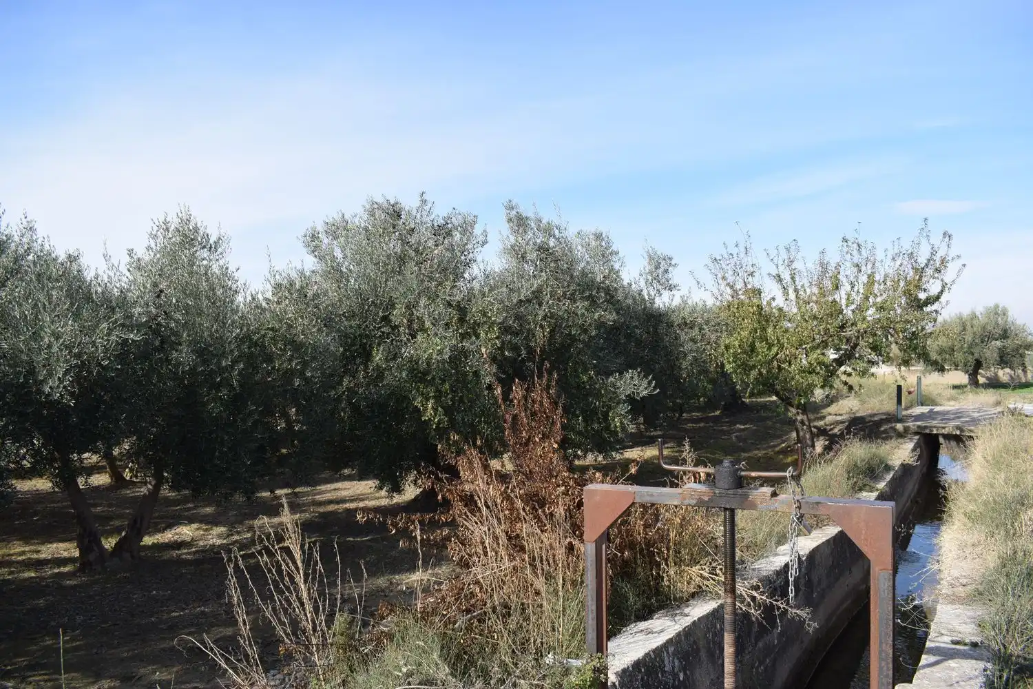 Terreno rustico in vendita a LOS MOLINOS, imagen 14