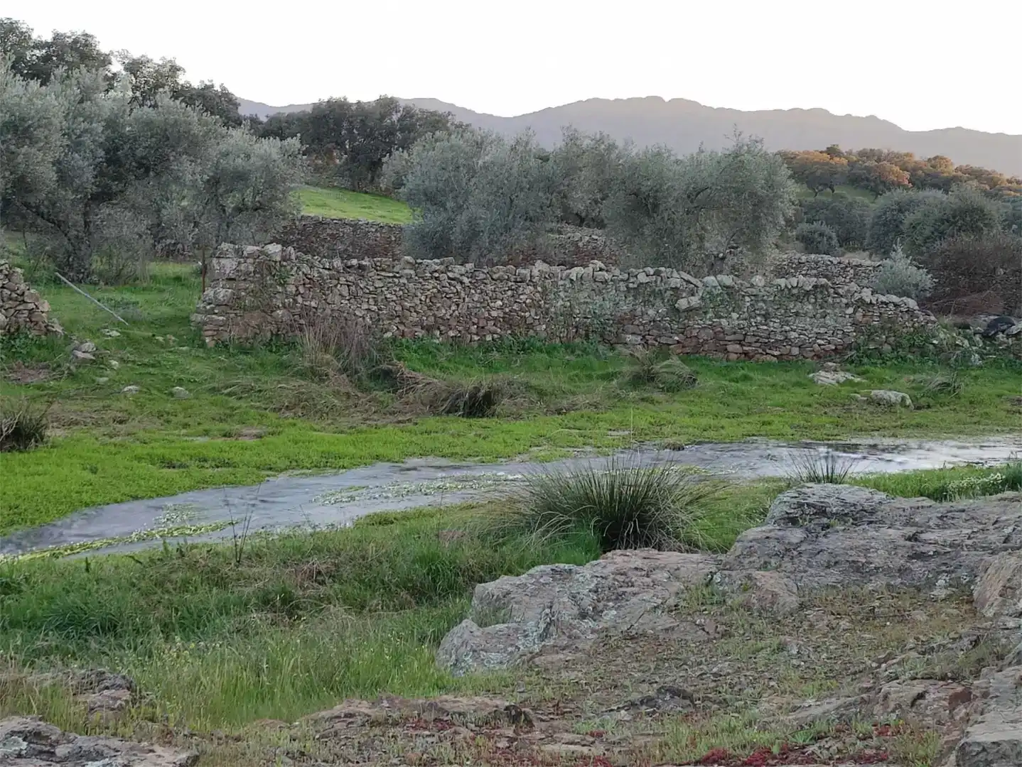 Piso en venta en Aldeanueva de San Bartolomé