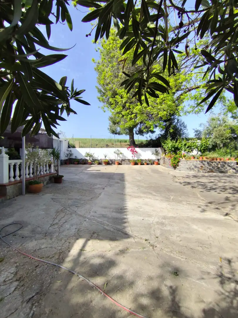 Casa rústica en venda a Arcos de la Frontera, imagen 22