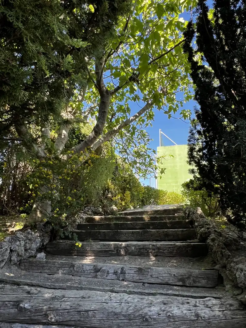 Jardí de Casa o xalet en venda en Boadilla del Monte amb Aire condicionat, Jardí privat i Traster