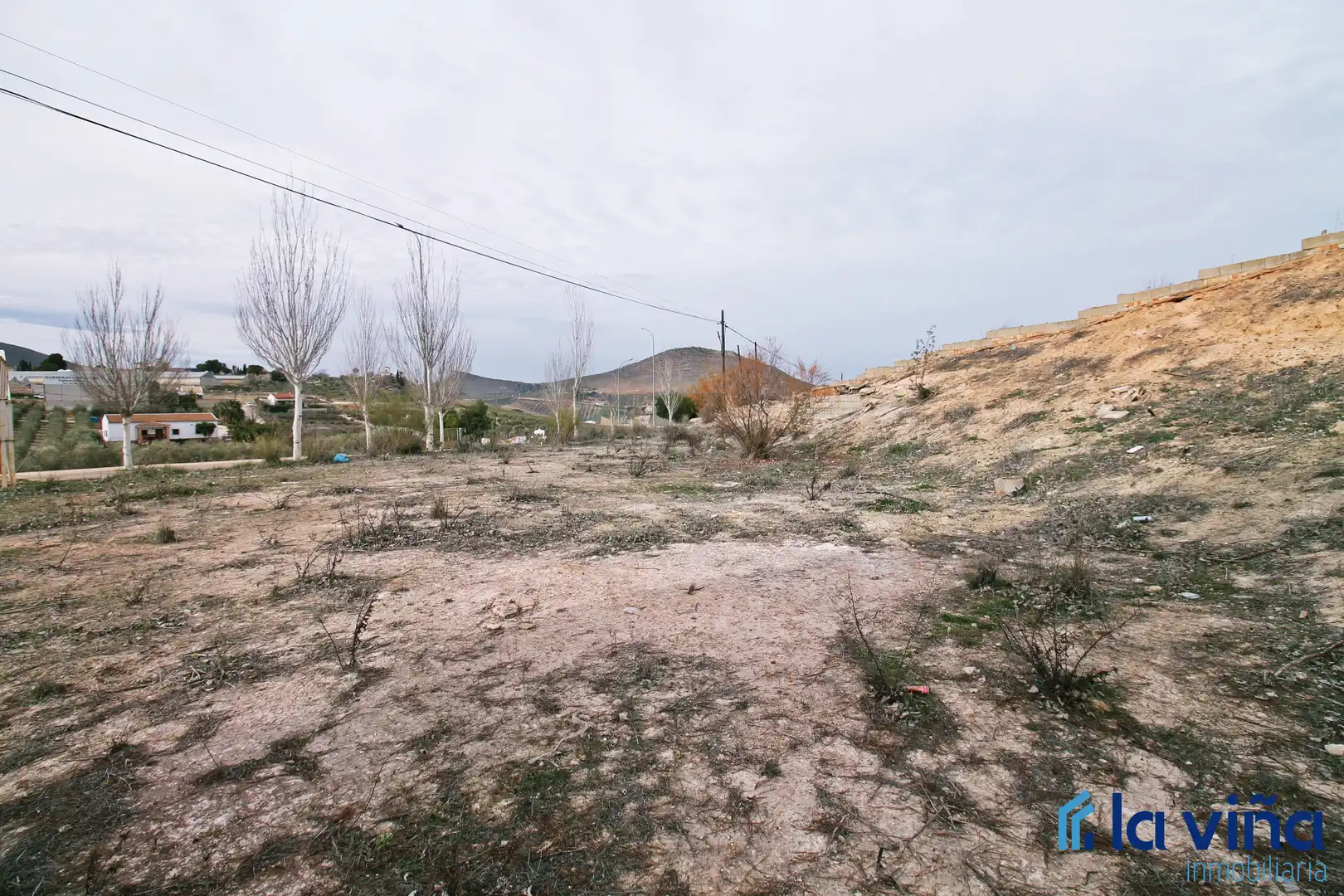 Terrenos y solares en venta en Alameda, imagen 6