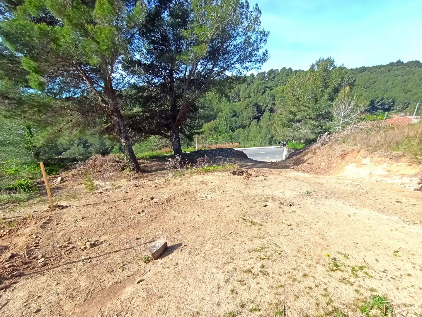 Terreny residencial en venda a Almoster, imagen 5
