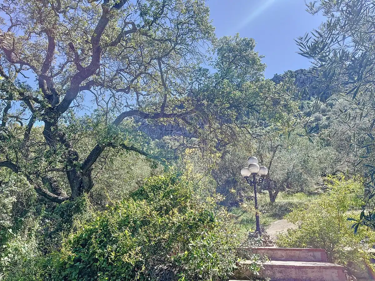 Vista exterior de Finca rústica en venta en Comares con Aire acondicionado, Jardín privado y Terraza