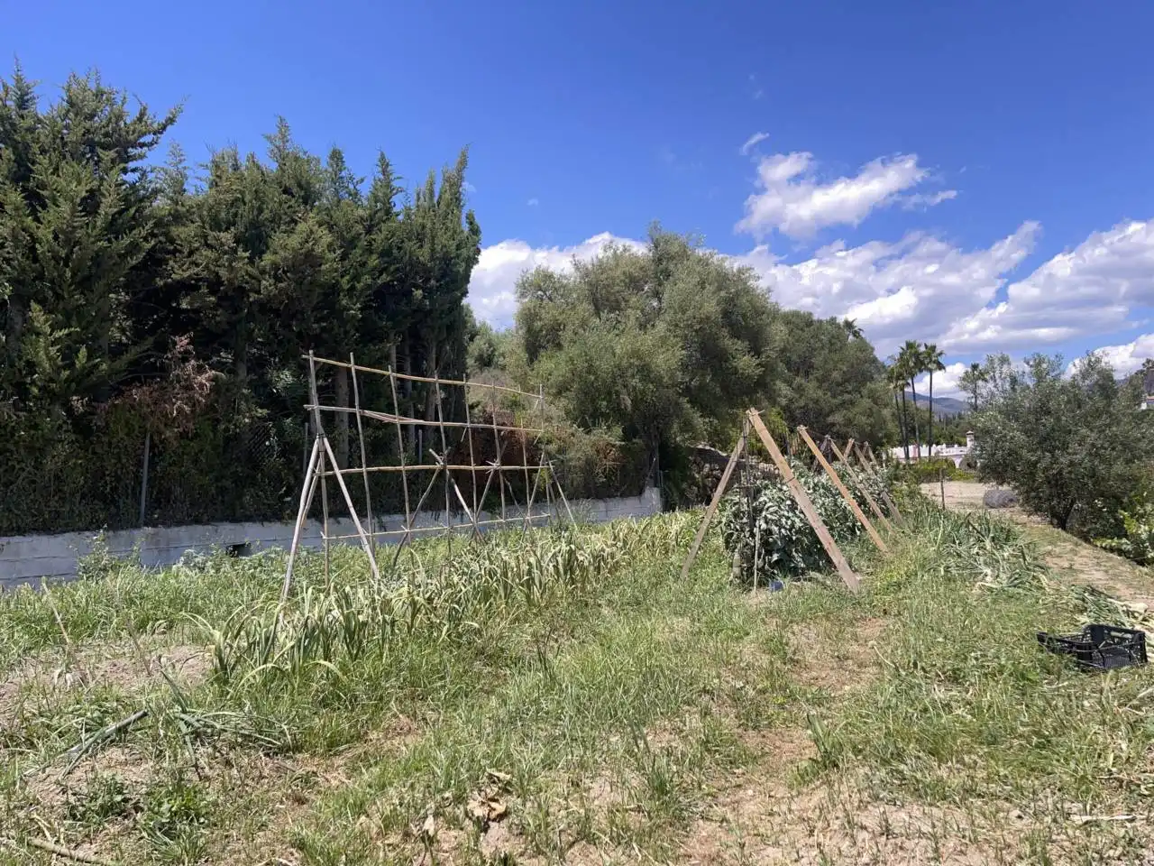 Finca rústica en venda en Estepona amb Aire condicionat, Calefacció i Jardí privat