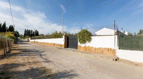 Foto 4 de Finca rústica en venta en Polígono 6 Paraje 75 Llanos de Moraleda, 61, Moraleda de Zafayona, Granada