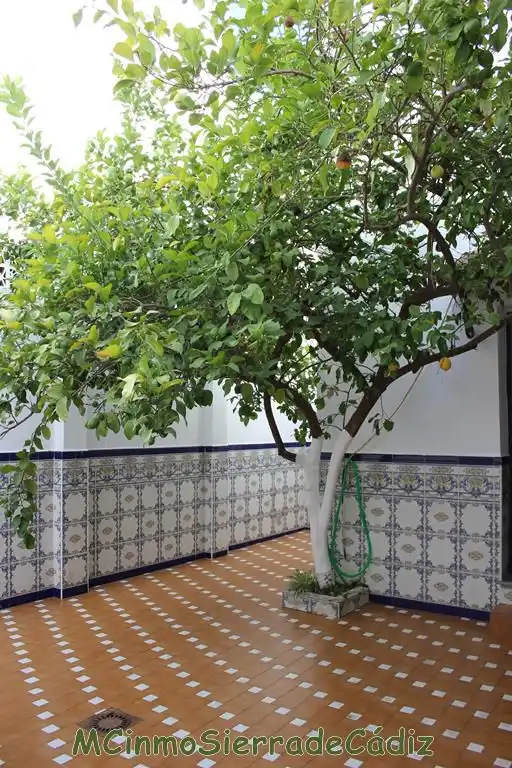 Haus mit Terrasse zum Verkauf in El Bosque, imagen 35