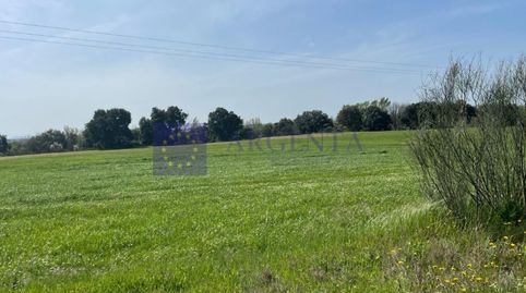 FINCA GANADERA DE UNAS 500 HECTÁREAS EN LA ZONA DE CORIA, imatge 4