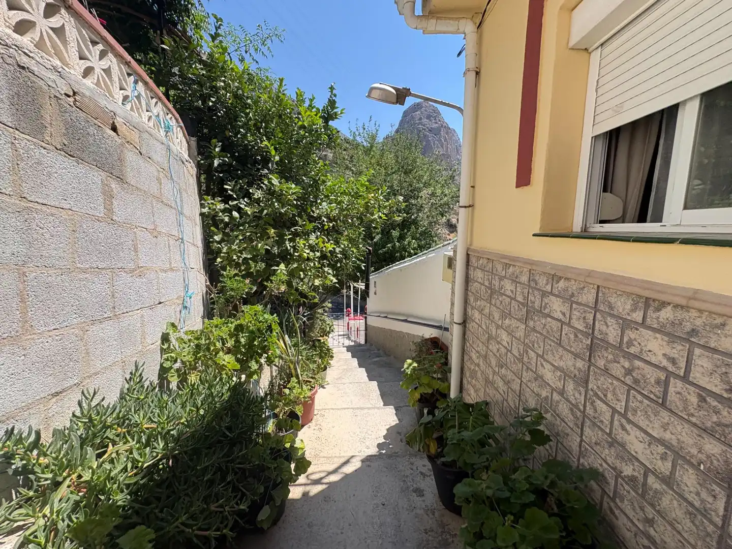 Vista exterior de Casa adosada en venda en Ardales amb Jardí privat, Terrassa i Moblat