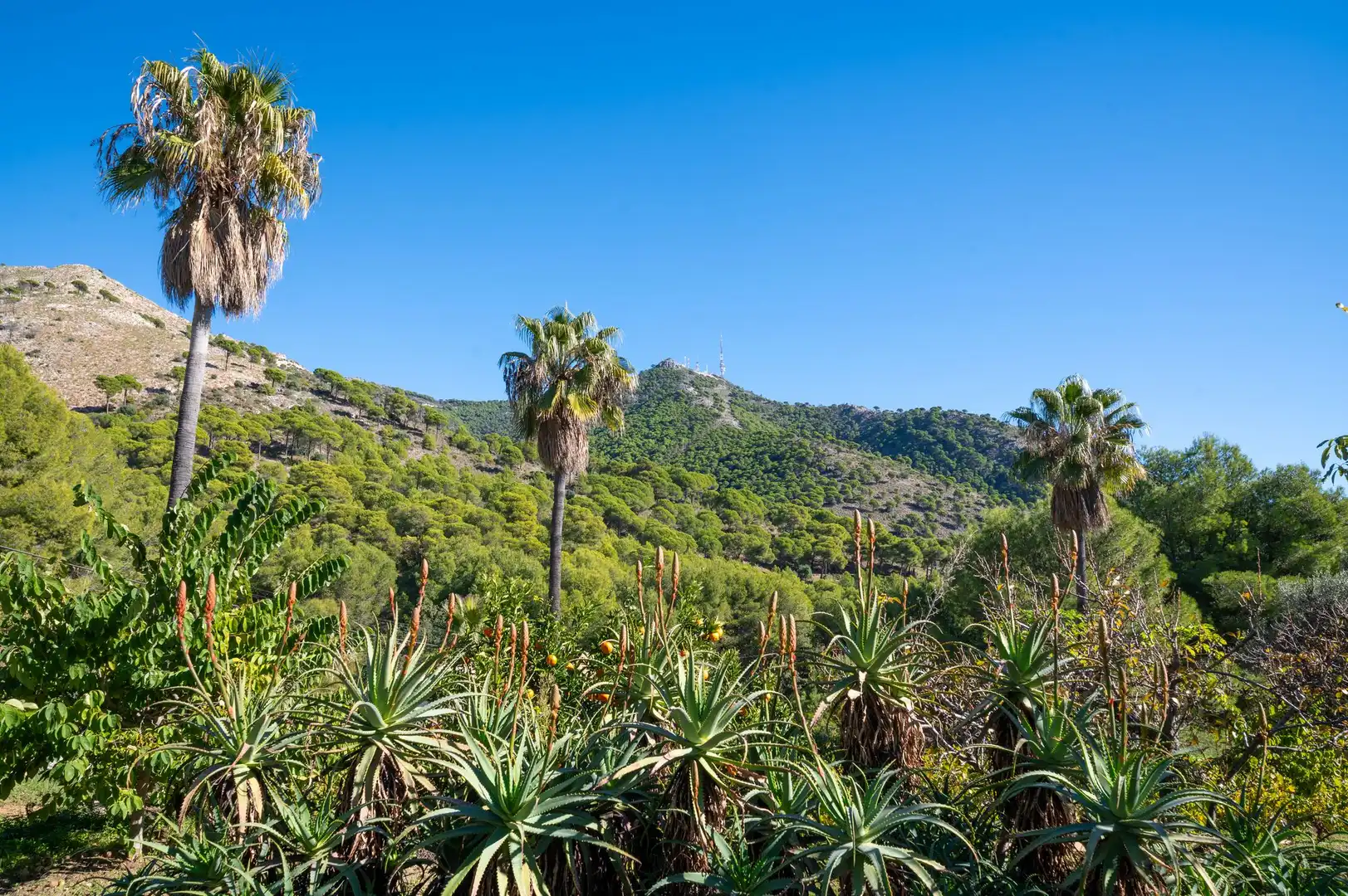 Vista exterior de Casa o xalet en venda en Mijas amb Terrassa