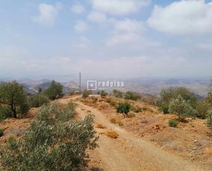 Industrial land for sale in Málaga Capital