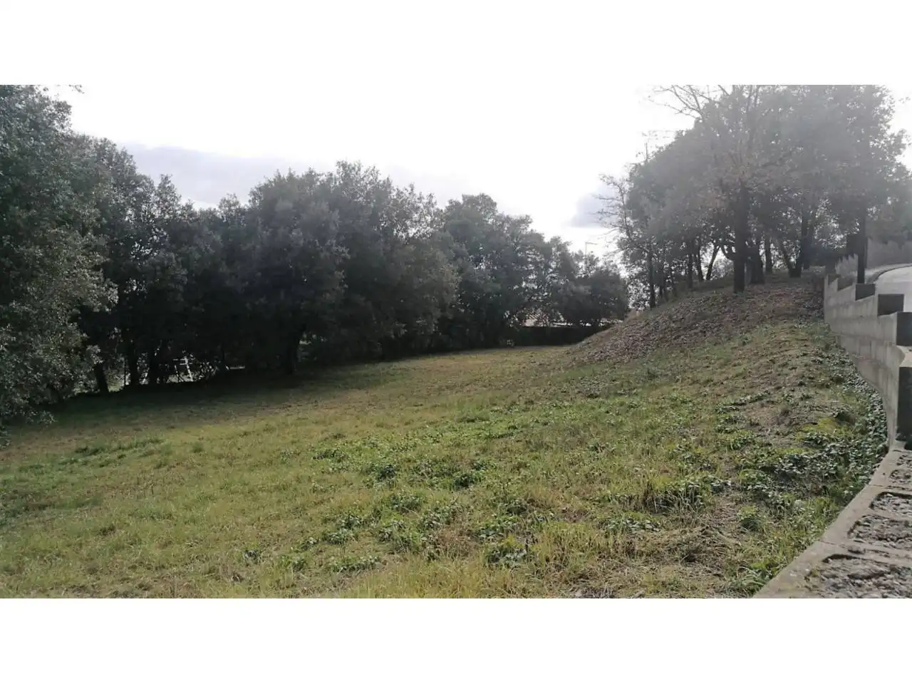 Industrial land for sale in Sallent