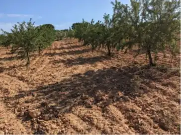 Terrain rustique à vendre à Requena, imagen 19