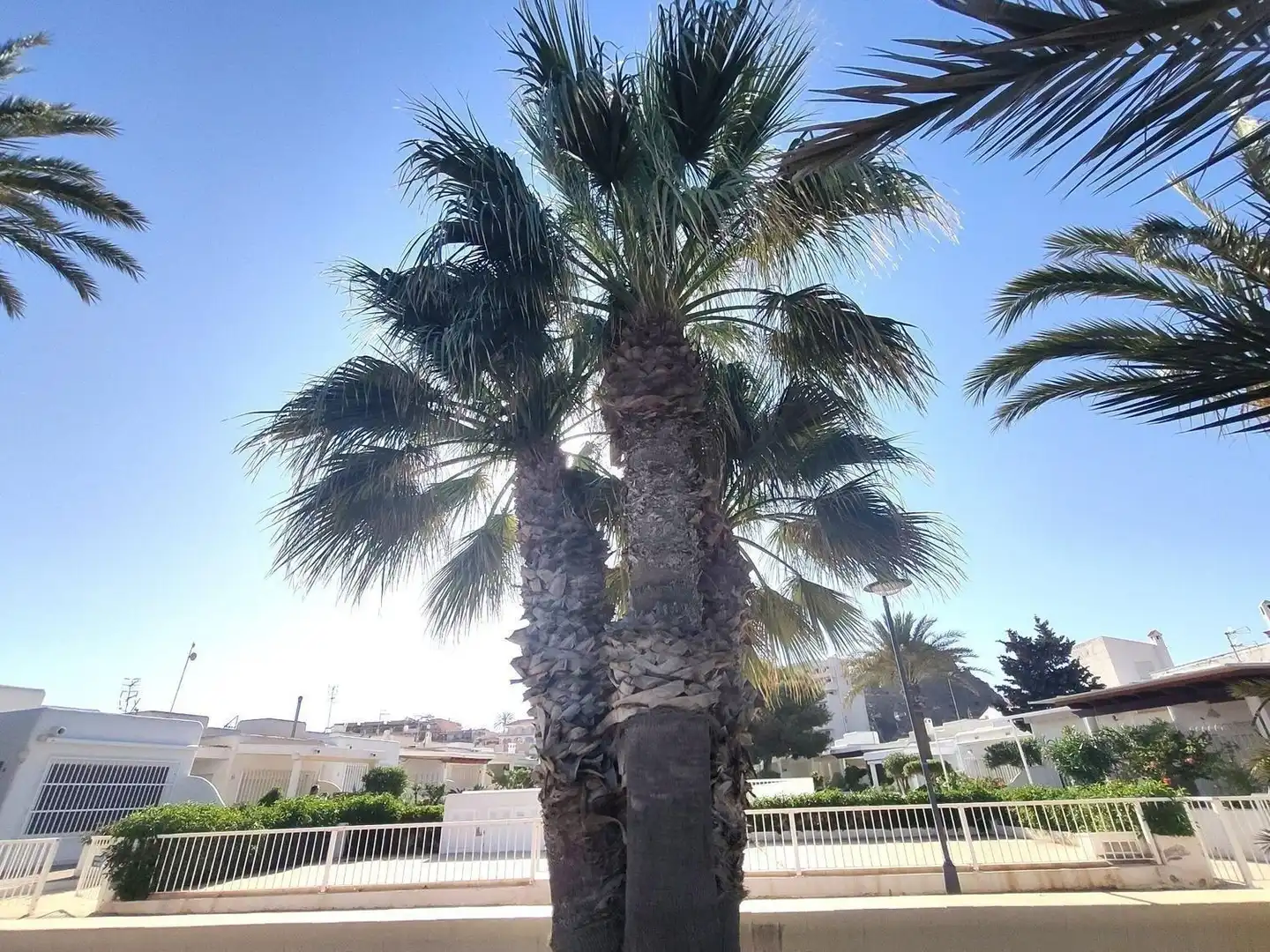 Exterior view of Flat for sale in Cuevas del Almanzora  with Terrace, Swimming Pool and Community pool