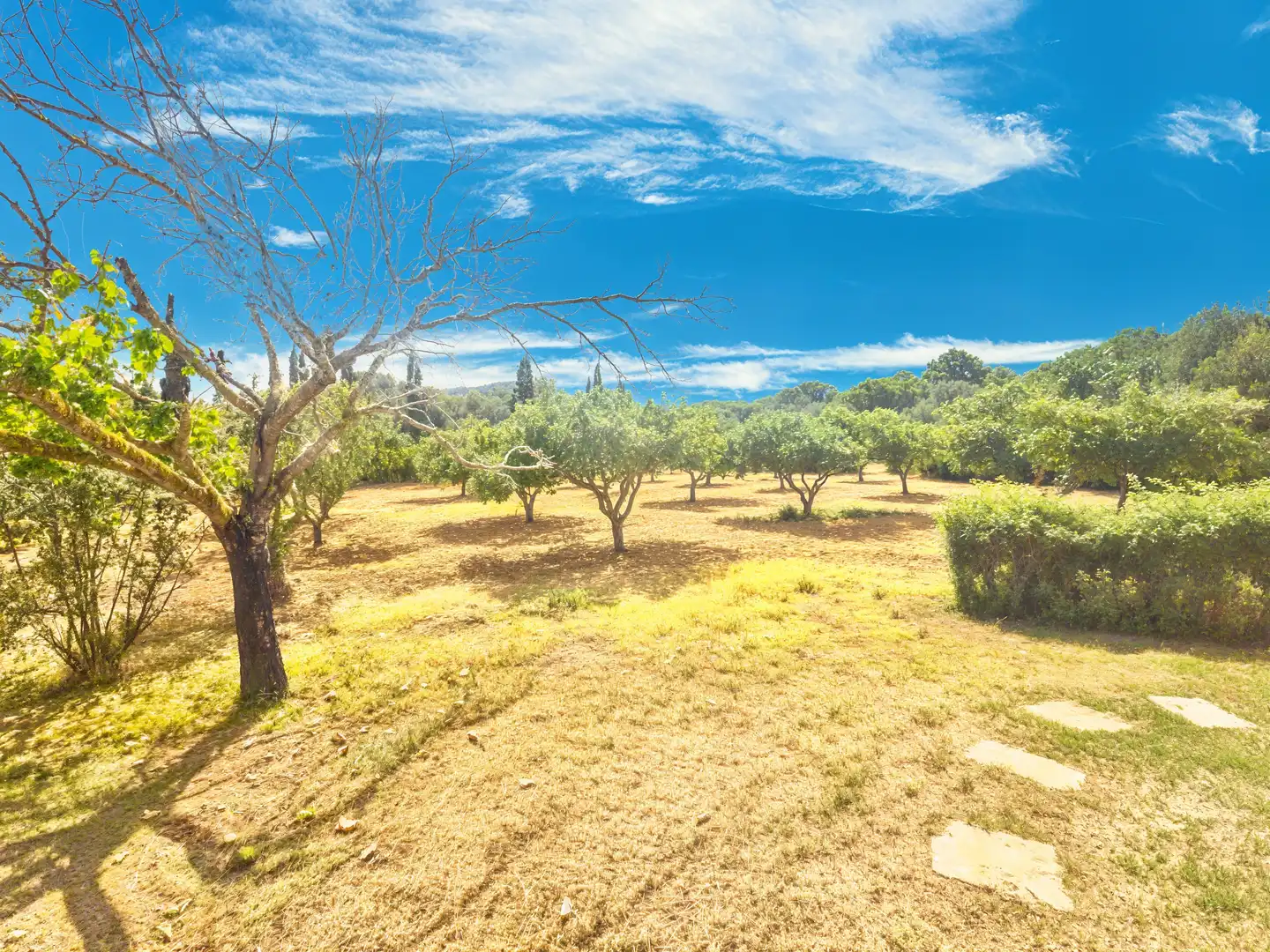 Finca rústica en venda en Son Servera amb Calefacció, Terrassa i Traster