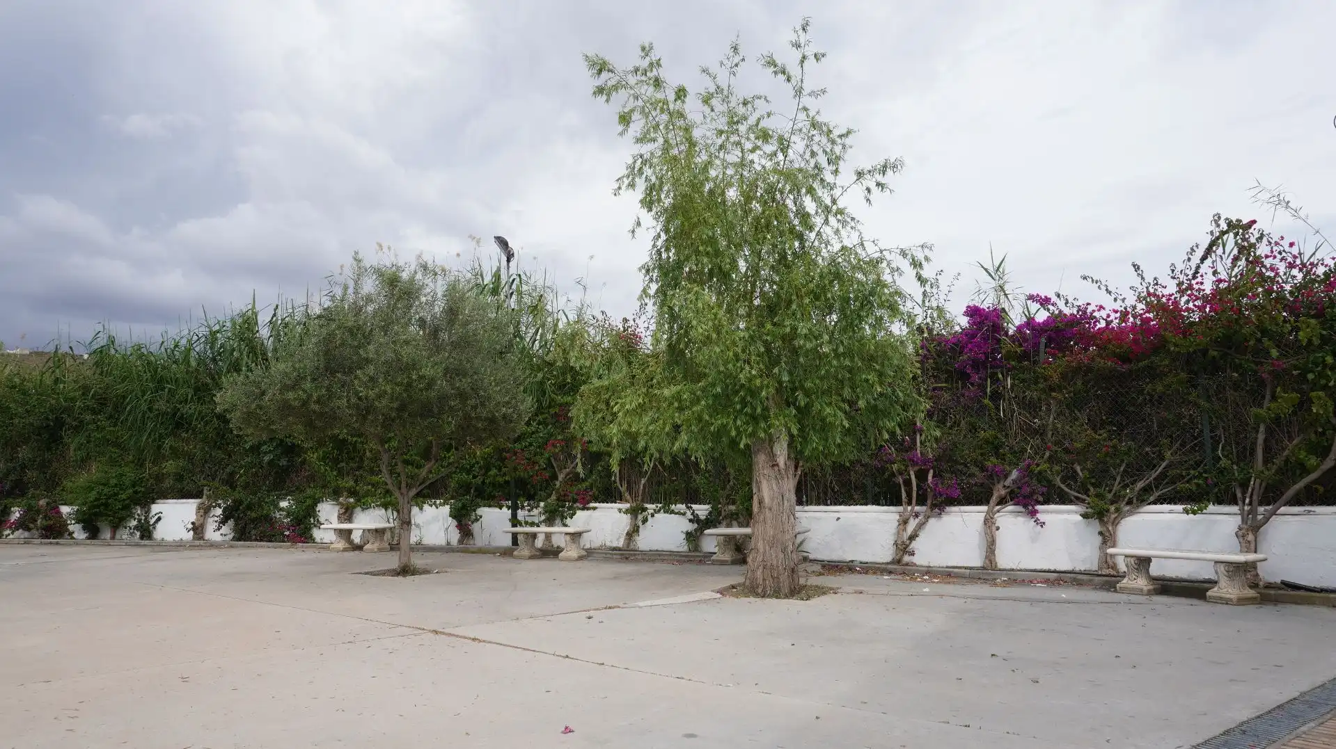 Garten von Fabrikhallen zum Verkauf in Motril