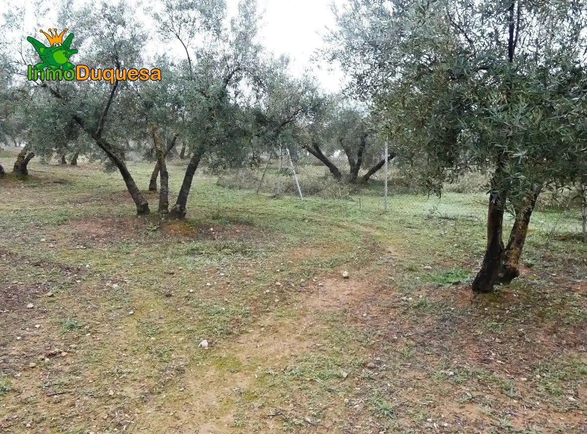 Casa rustica in vendita a Peligros, imagen 7