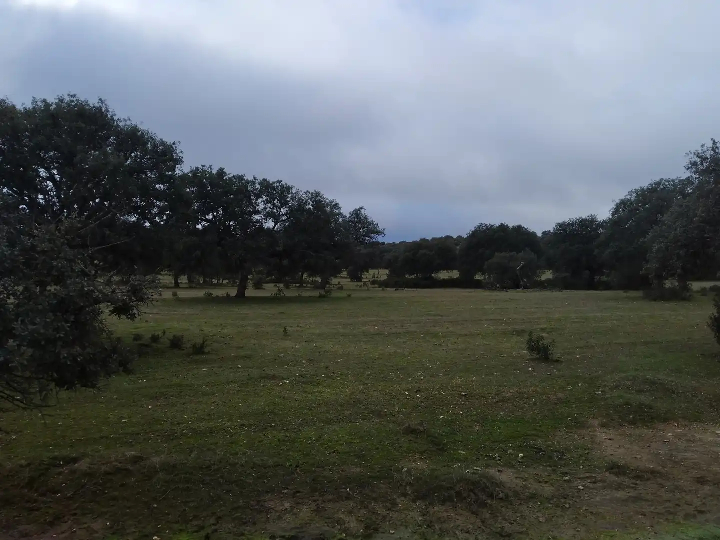 Terreno rustico in vendita a Villanueva del Duque, imagen 2