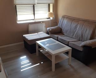 Living room of Flat to rent in Santander  with Furnished and Pets allowed