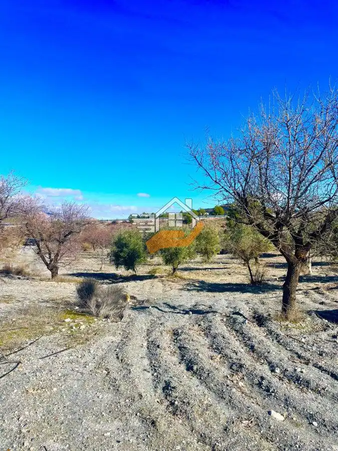 Casa rústica en venda a Vélez-Rubio, imagen 8