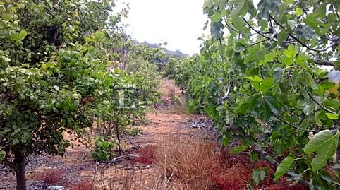 Foto 4 de Finca rústica en venta en Garachico, Santa Cruz de Tenerife