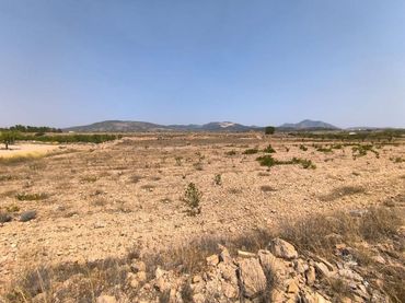 Terreno residencial en venta en El Pinós / Pinoso