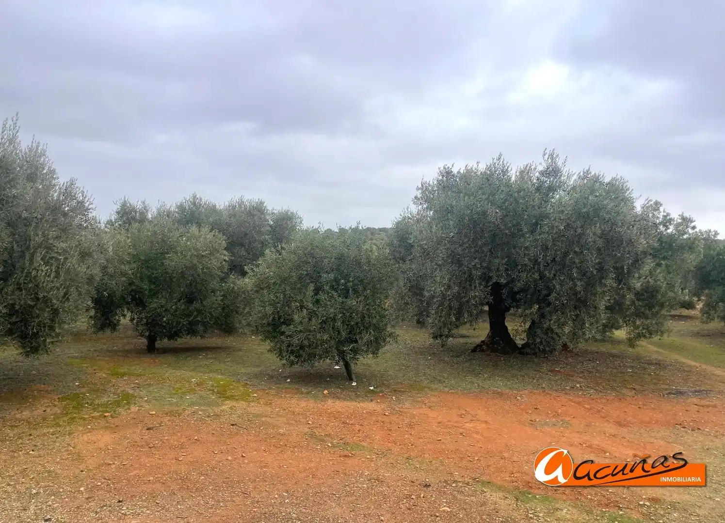 Terrenos y solares en venta en Alameda, imagen 34