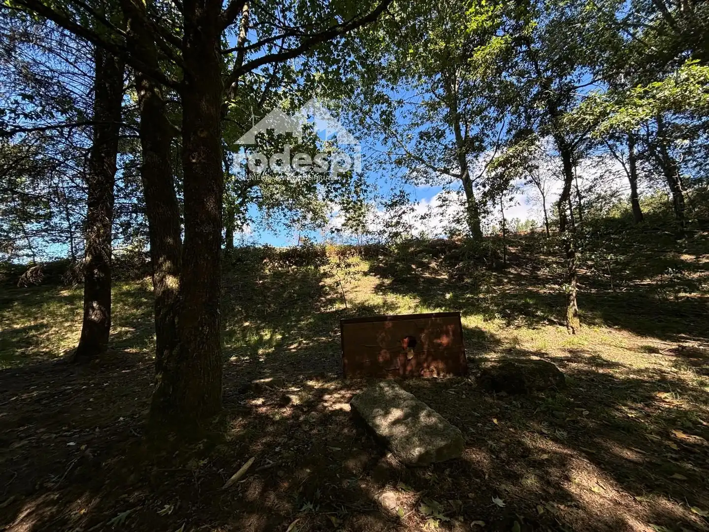 Terreny rústic en venda a A Cañiza, imagen 4