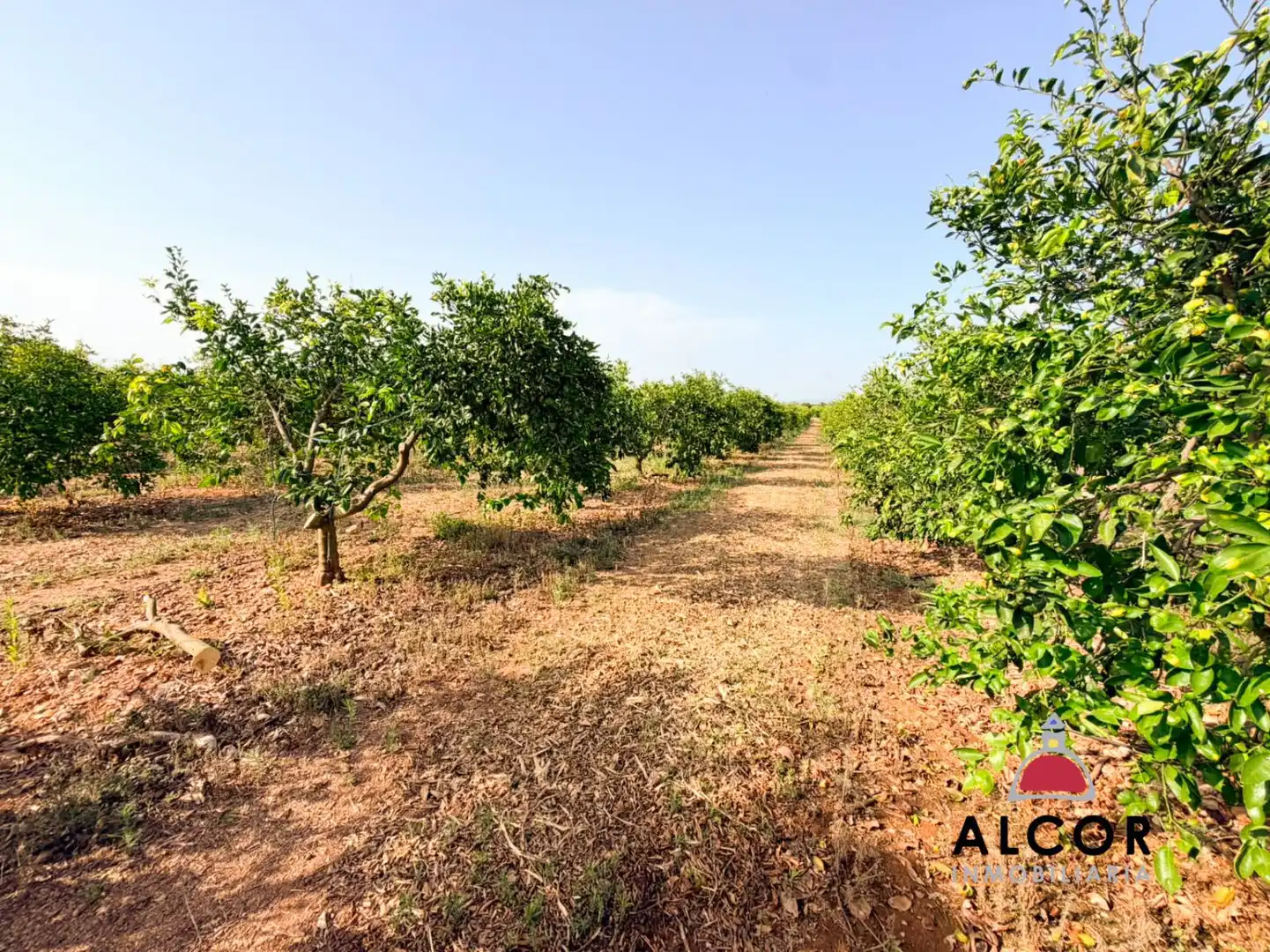 Terrenos y solares en venta en Pueblo, imagen 12