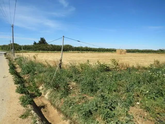 Rural land for sale in Barrio Nuevo, imagen 2