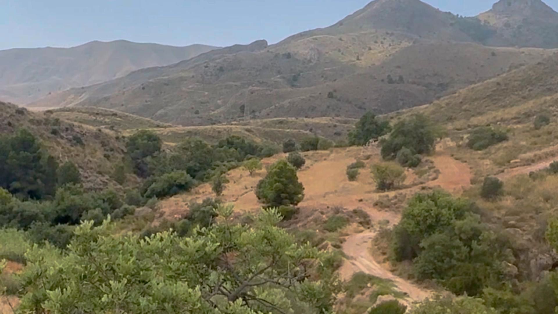 Exterior view of Country house for sale in Lorca  with Private garden