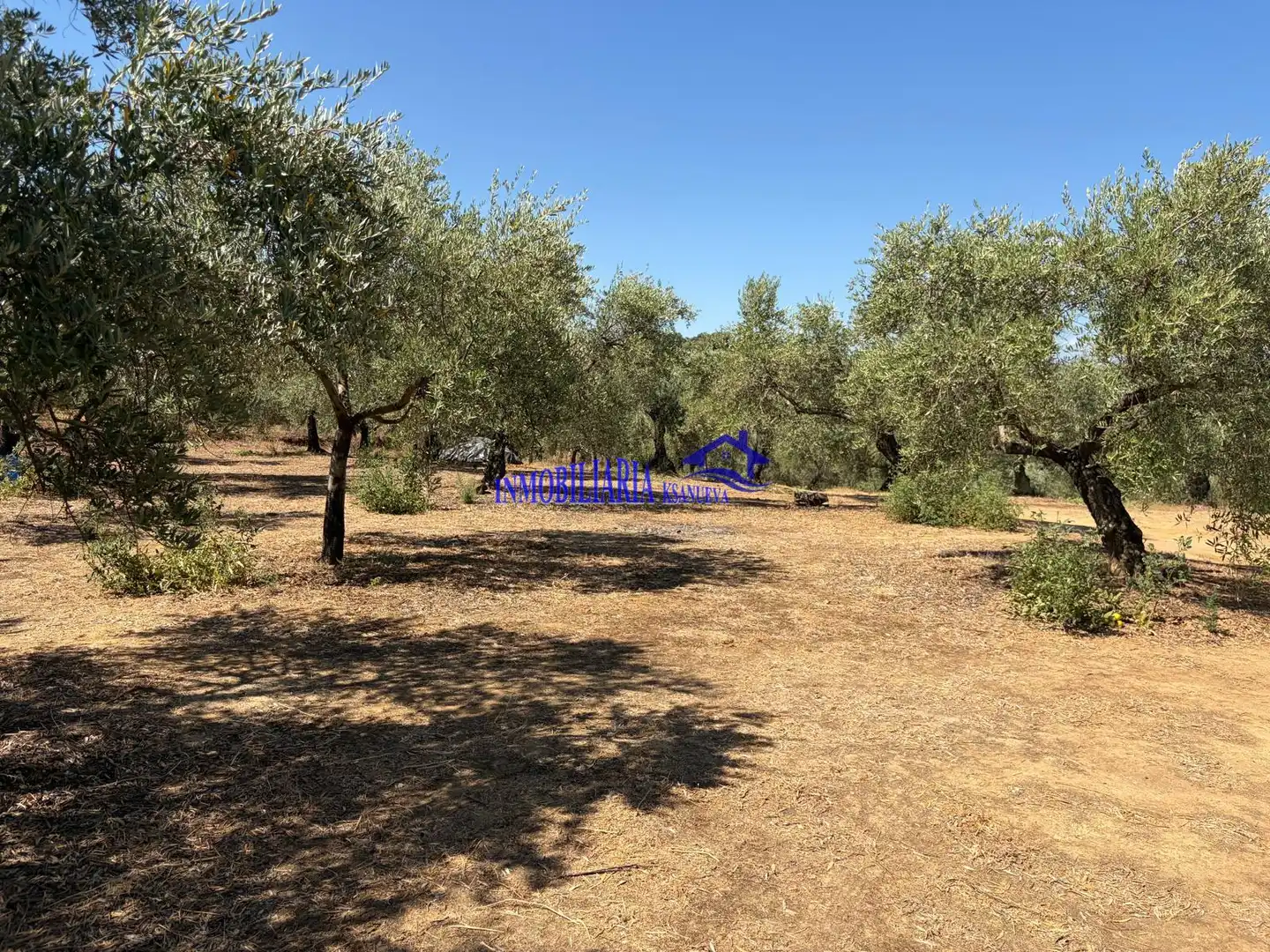 Finca rústica en venda en Adamuz
