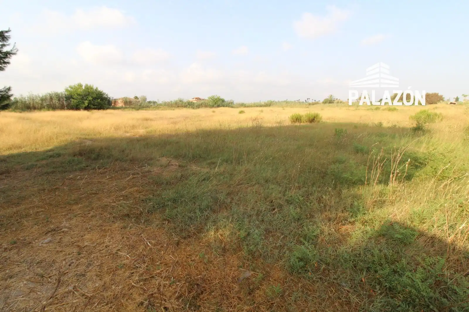 Terrain rustique à vendre à Catral, imagen 5