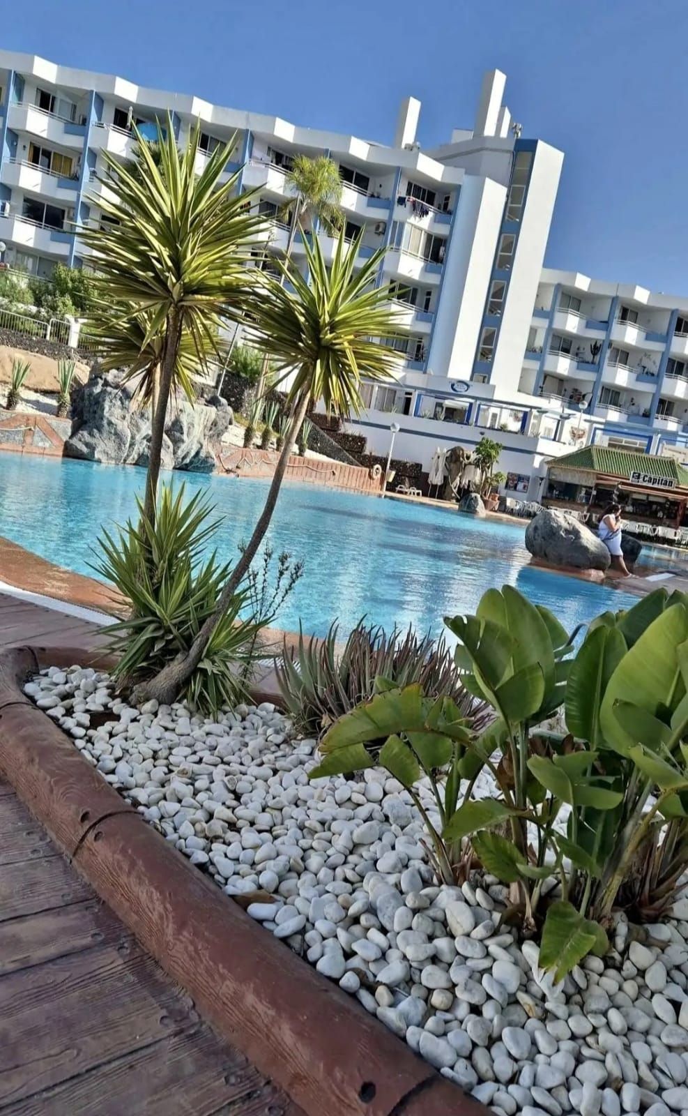 Piscina de Apartament en venda en San Miguel de Abona amb Terrassa, Moblat i Piscina comunitària
