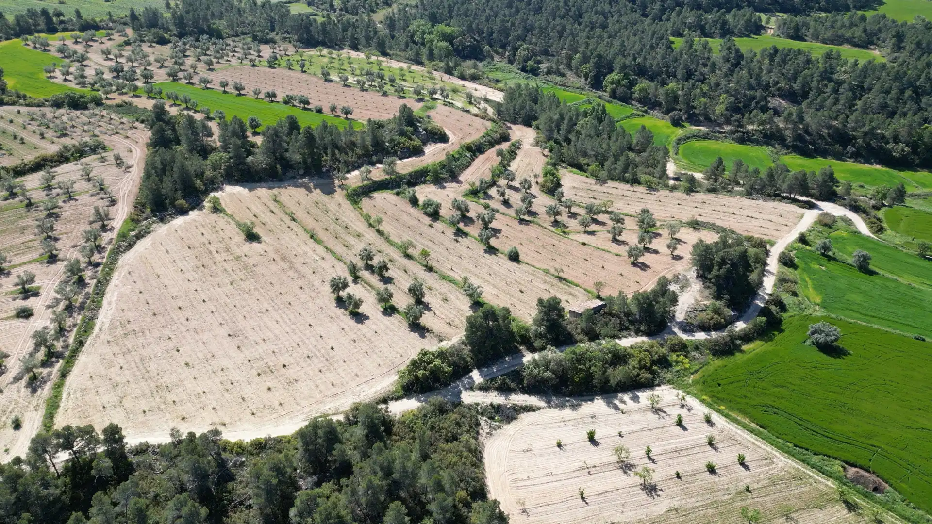 Terreni e lotti in vendita a Calaceite, imagen 17