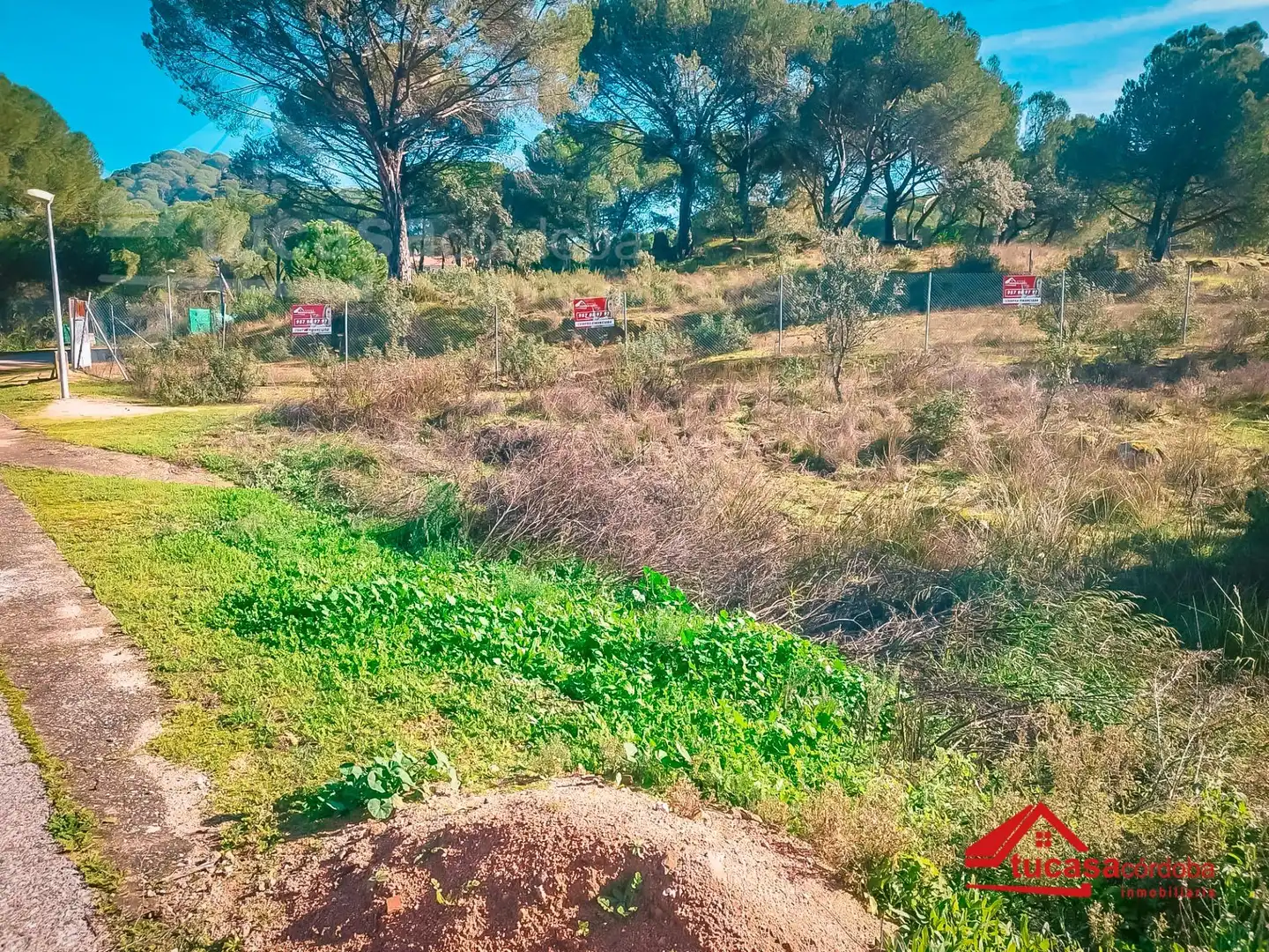 Residential land for sale in Periurbano Oeste - Sierra, imagen 6