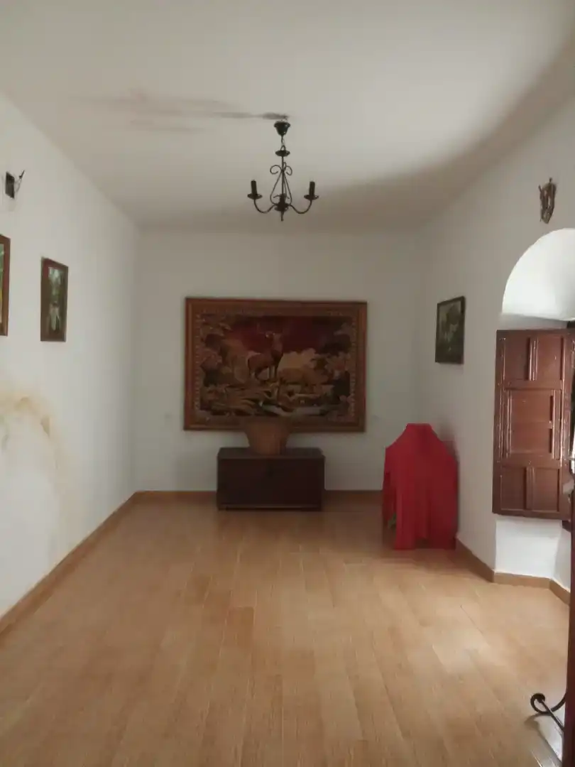 Sala de estar de Piso en venta en Écija con Trastero, Lavadora y Balcón